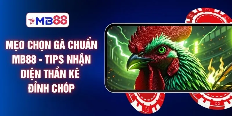 Mẹo Chọn Gà Chuẩn MB88 - Tips Nhận Diện Thần Kê Đỉnh Chóp